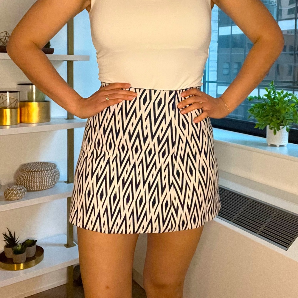 Zara pattern skirt